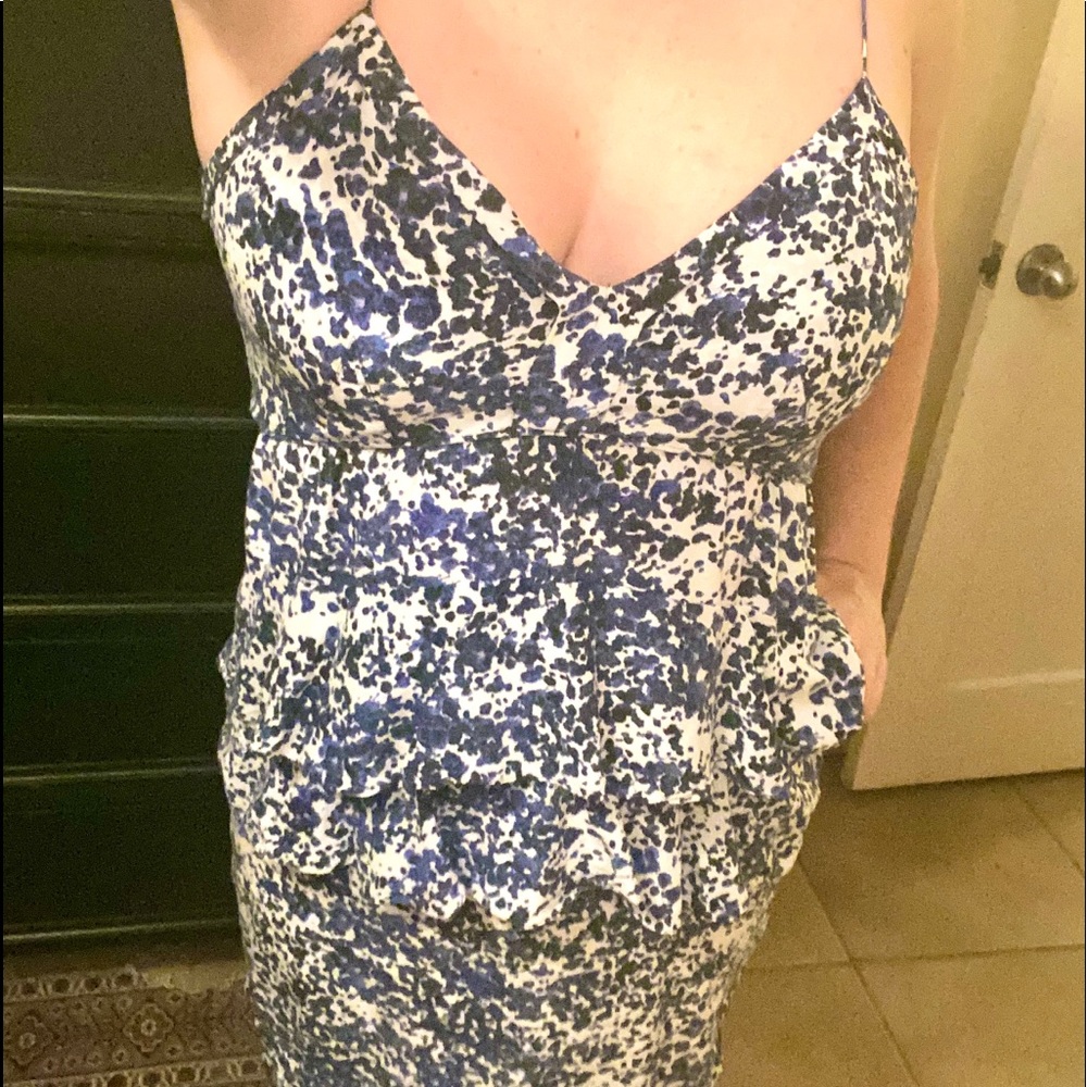 Silk Twelfth St. by Cynthia Vincent Dress